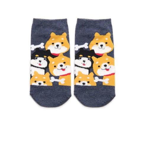 Chaussette Shiba Inu