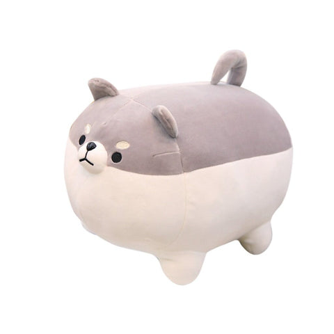 Grosse Peluche Shiba Inu Aiko