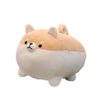 Grosse Peluche Shiba Inu
