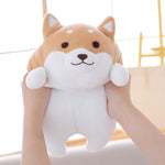 Peluche Shiba Inu Kenta 55cm