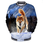 Veste Shiba inu dans la Neige