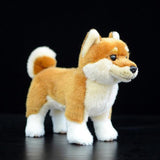 Peluche Douce Shiba Inu Roux fond noir