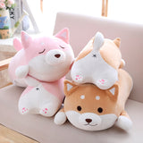 Quatre Peluche Shiba Inu Kenta 