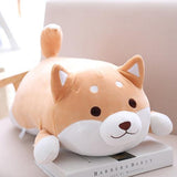 Peluche Shiba Inu Kenta réveillé